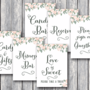 Vintage-Soft-Pink-Peonie-Bridal-Shower-Table-Signs-Package-1