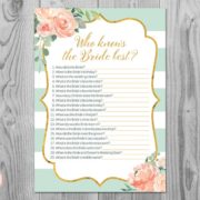 Mint Green Gold Who knows the bride best