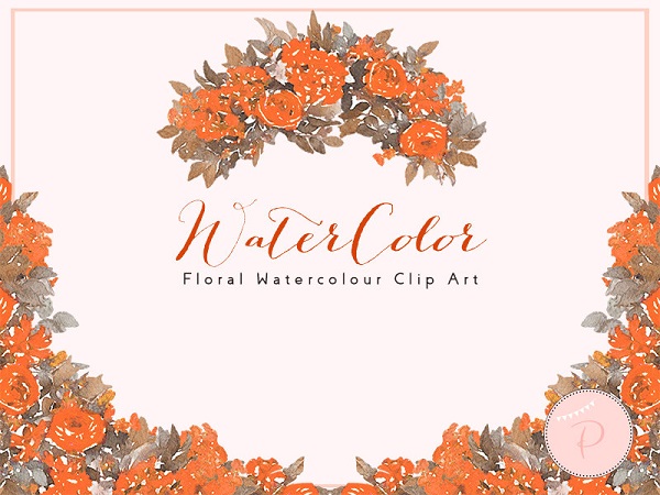 orange red carnation clipart